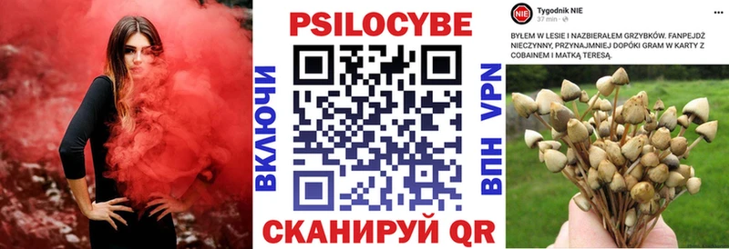 хочу   Юрьев-Польский  Галлюциногенные грибы Cubensis 