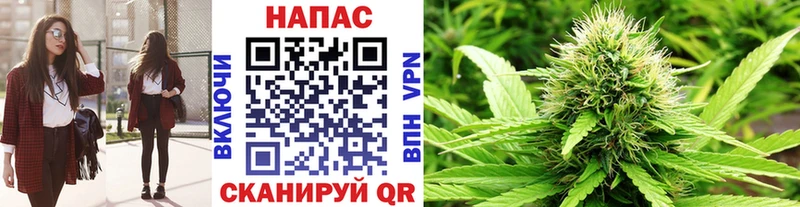 Каннабис Bruce Banner  наркота  Юрьев-Польский 